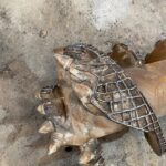 whatsapp image 2025 08 30 at 18.45.16